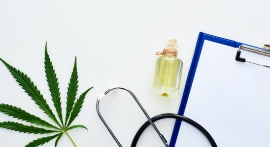 Dansk-schweizisk samarbejde skal gøre medicinsk cannabis mere overkommeligt
