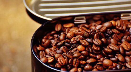 Kaffe på kontoret: Sådan vælger du den perfekte bønne til arbejdsdagen