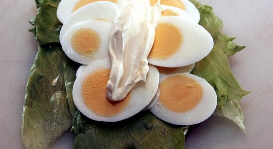 Den ultimative guide til at bestille smørrebrød til kontoret