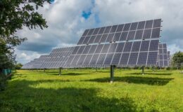Betalinger og miljø: Hvordan vores forbrugsmønstre påvirker planeten